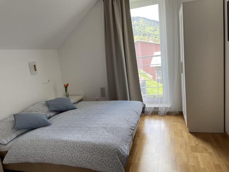 טרצ'ובה Apartman Pri Dierach מראה חיצוני תמונה